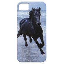 Ein Pferd wild und frei iPhone 5 Case