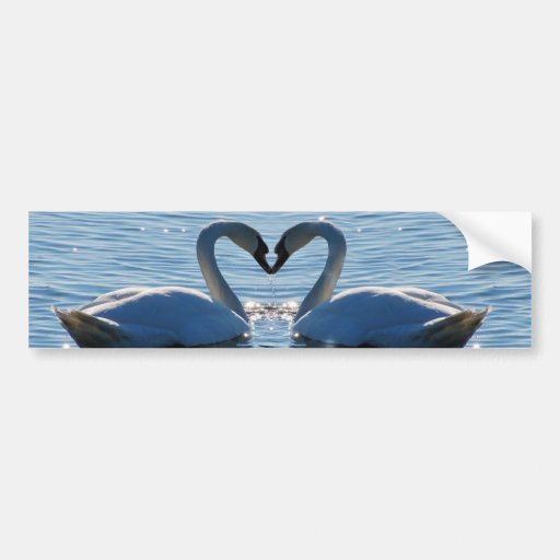 Ein Schwan-Herz-Kuss, Reflexionen der Liebe Auto Sticker