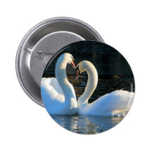 Ein Schwan-Herz-Kuss, Reflexionen der Liebe Anstecknadelbuttons