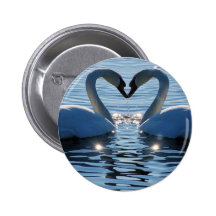 Ein Schwan-Herz-Kuss, Reflexionen der Liebe Anstecknadelbuttons