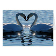 Ein Schwan-Herz-Kuss, Reflexionen der Liebe Karte