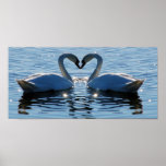 Ein Schwimmen-Schwan-Herz-Kuss, Reflexionen der Li Plakatdruck
