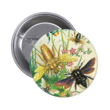 Ein Summen des schönen Bienen-Knopfes Anstecknadelbutton