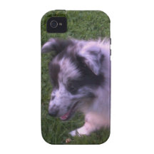 Ein süßer kleiner baby shelty iPhone 4/4S hülle
