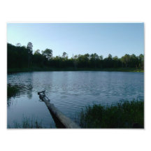 Ein Teich inmitten eines Waldes Kunstphoto