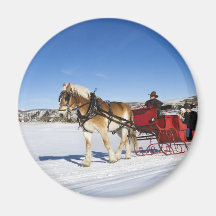 Ein Western-Weihnachten - PferdeweihnachtsSleigh Magnete
