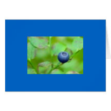 Eine Blaubeere Grußkarte