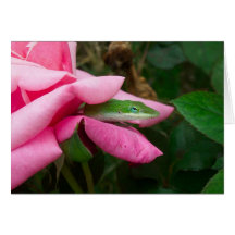 Eine Eidechse auf einer Rosen-Gruß-Karte 01