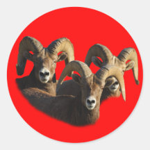 Eine Gruppe RAMs Runde Sticker