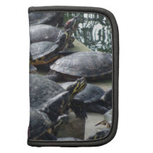 Eine Gruppe Wasserschildkröten Planer
