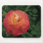 Eine perfekte Rose von oben genanntem - Mousepad