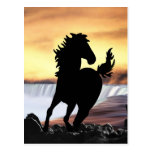 Eine PferdeSilhouette und -wasserfall Postkarten