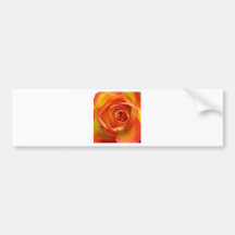 Eine Rose durch irgendeinen anderen Namen Autosticker