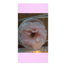 Eine Rose -  nur für Dich Bilder Karten