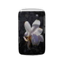Einfach herrliches BlackBerry Blackberry Bold Etuis
