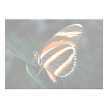 Eingebrannter orange Schmetterling, Zentrale und S Einladung