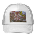 Einige Kirschblüten Truckerkappe