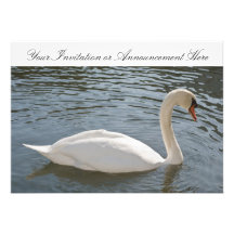Einladungen und Mitteilungen mit Schwan