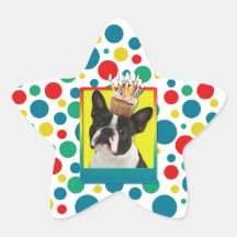 Einladungs-kleiner Kuchen - Boston Terrier Sternaufkleber