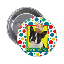 Einladungs-kleiner Kuchen - Boston Terrier Anstecknadelbuttons