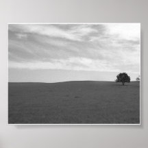 Einsame Schwarzweiss-Prarie Szene Plakatdrucke