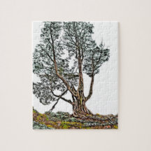 Einsame Zypresse Jigsaw Puzzle