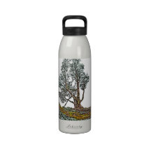 Einsame Zypresse Wiederverwendbare Wasserflasche