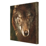 Einsamer Wolf Galerie Falt Leinwand