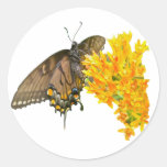 Einzelteil des Tiger-Frack-Schmetterlings-(Papilio Runder Aufkleber