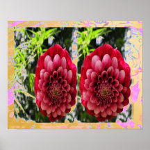 Einzigartige Rosen -   AWGP Haridwar 2 Posterdrucke