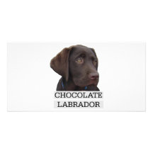 Einzigartiger Entwurf Schokoladen-Labradors! Photokarte