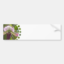 Einzigartiger Orchideen-Autoaufkleber