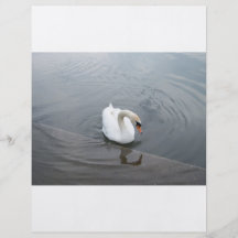 Einziger Schwan Flyerdesign