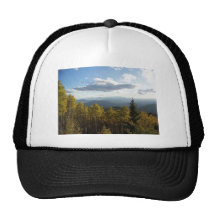 Einziges Pine.jpg Trucker Mützen