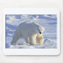 EISBÄR 1 MOUSEPAD