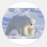 EISBÄR 1 RUNDER AUFKLEBER