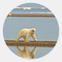 Eisbär, der entlang die Küste geht Runder Sticker