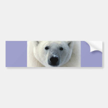 Eisbär-Gesicht Auto Aufkleber