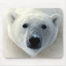 Eisbär-Gesicht Mauspads