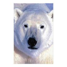 Eisbär Personalisierte Druckpapiere