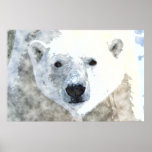 EISBÄR Plakat