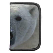 Eisbär Planer