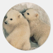 Eisbär Runder Sticker