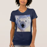 Eisbär Shirts