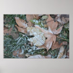 Eisiger Blatt-Druck Plakatdrucke