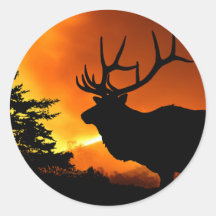 Elche Sticker