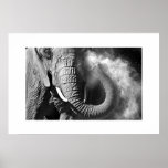 Elefant #1 posterdruck