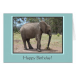 Elefant-alles Gute zum Geburtstag Karten