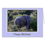 Elefant in Baum-alles Gute zum Geburtstag Grußkarten