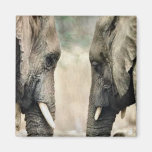 Elefant-Liebhaber-Kunst-Geschenke Kühlschrankmagnete